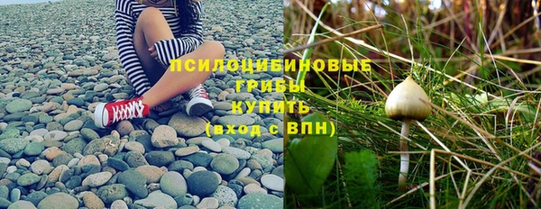 трава Алексин