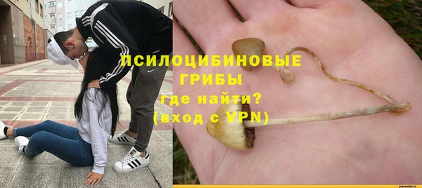 ГАЛЛЮЦИНОГЕННЫЕ ГРИБЫ Абинск