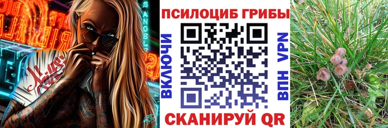 Псилоцибиновые грибы GOLDEN TEACHER  Дятьково 